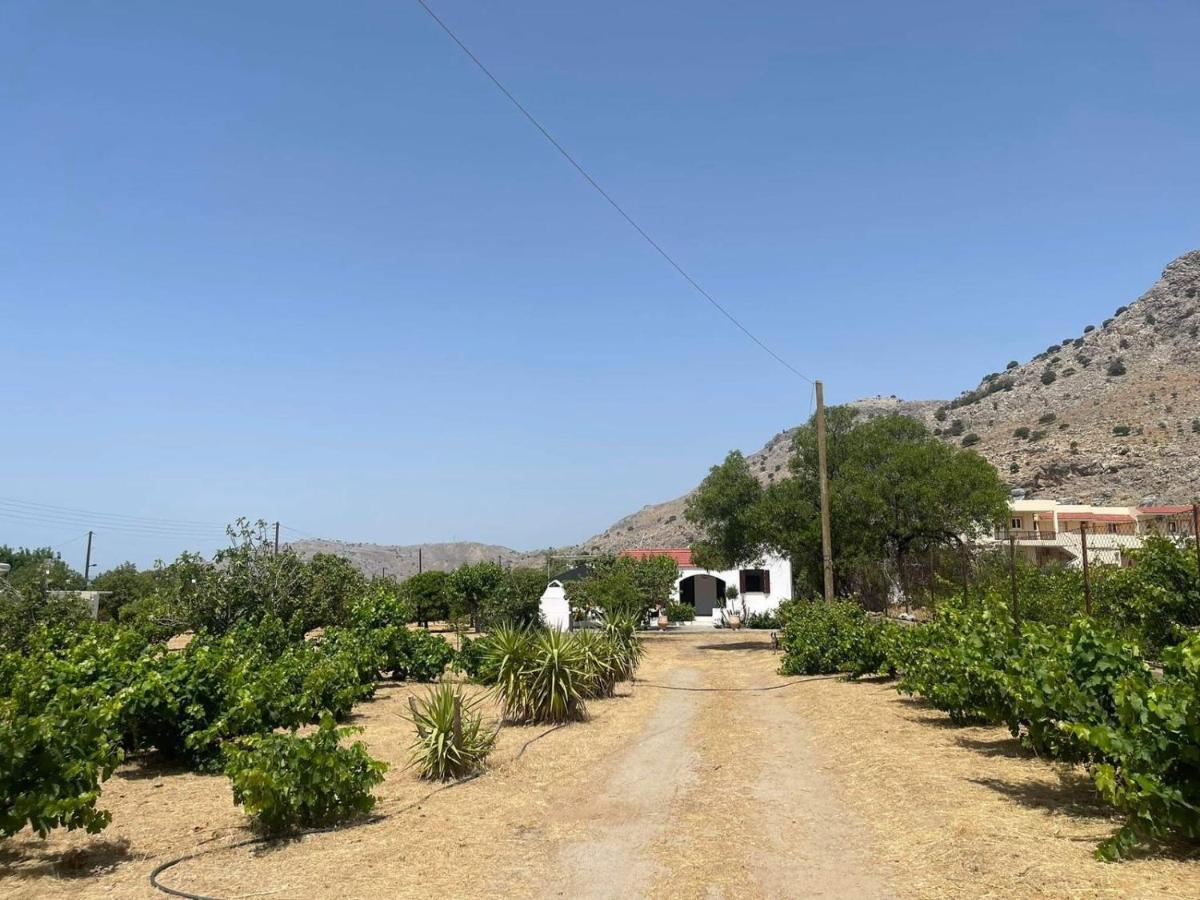 Aegean Endless Summer Villa Pefkos Pefki  Ngoại thất bức ảnh