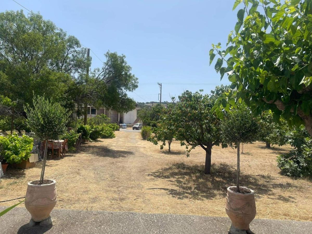 Aegean Endless Summer Villa Pefkos Pefki  Ngoại thất bức ảnh