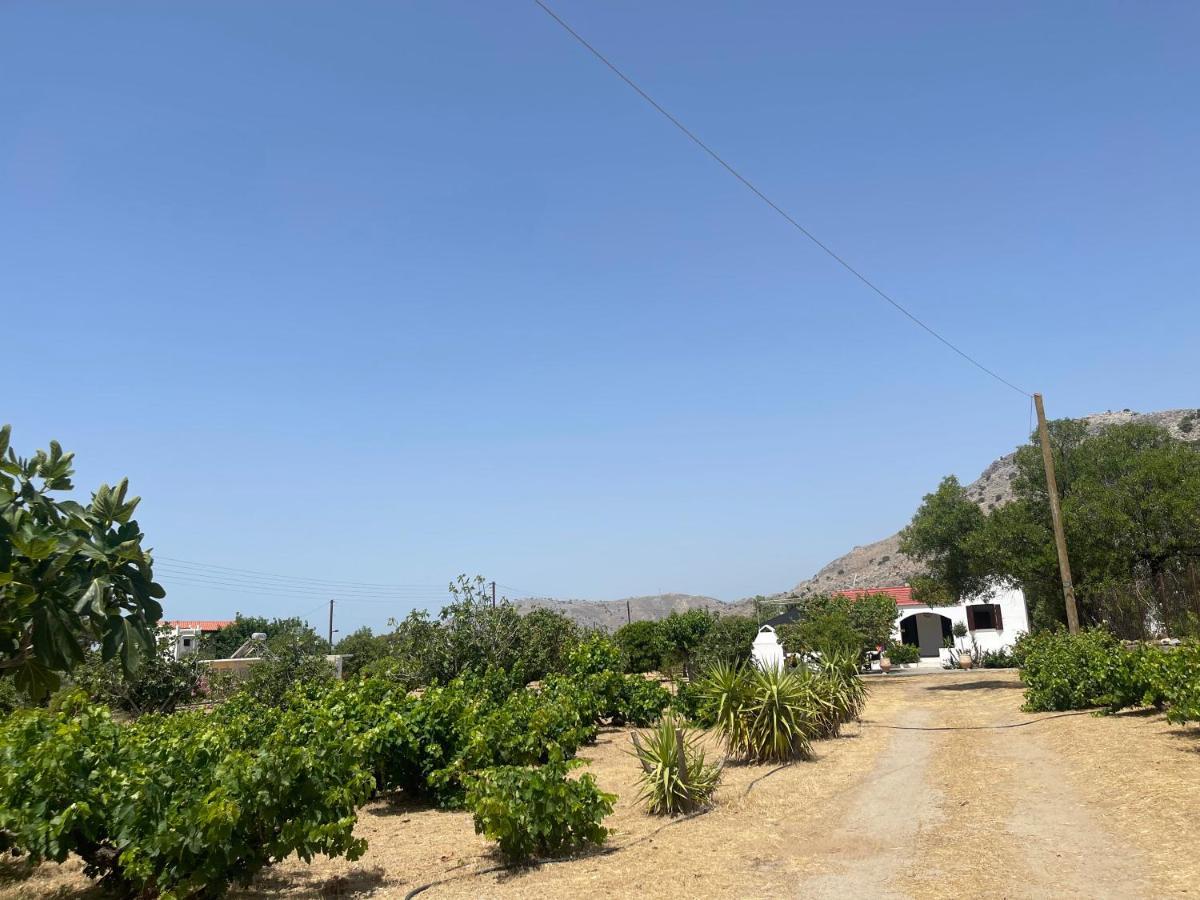 Aegean Endless Summer Villa Pefkos Pefki  Ngoại thất bức ảnh