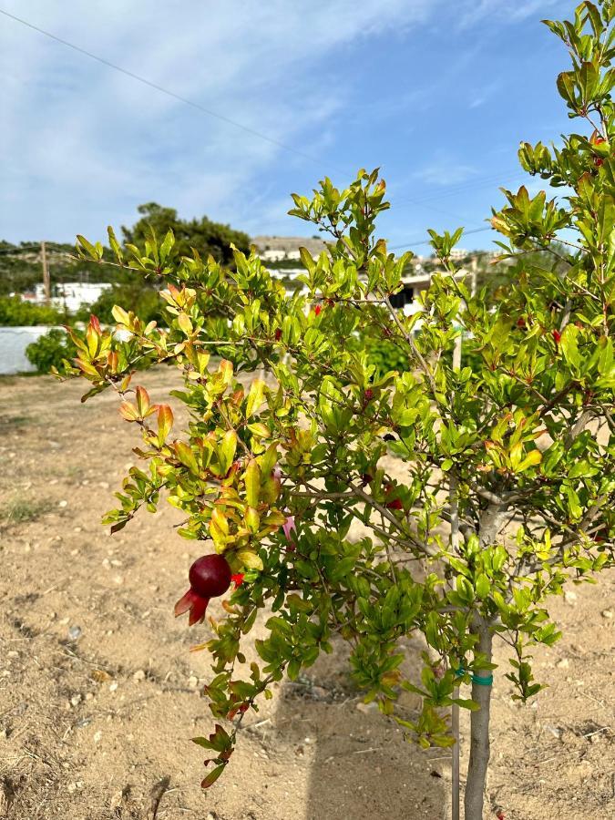 Aegean Endless Summer Villa Pefkos Pefki  Ngoại thất bức ảnh